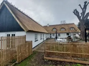 nytækket stråtag med nye kviste med halvmåne vinduer og rygning med lyng og kragetræer.