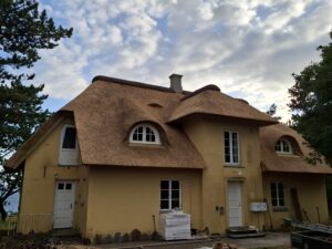 Stort hus med nyt stråtag. Tækker med ukrainske tagrør og vi har monteret 2 halvmånekviste og en ventilation i taget og afsluttet rygningen med lyng.