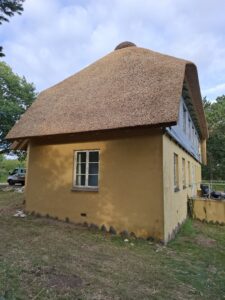 Nærbillede af det nye stråtag med ukrainske tækkerør på huset på Røsnæs